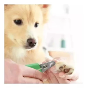 Corta uñas profesional para mascotas Wah con mango verde, cortando la uña de un perro.